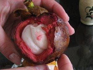 what does the mangosteen fruit look like