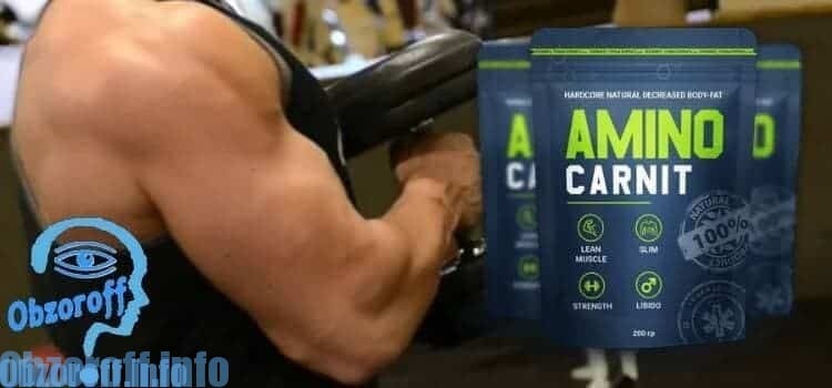 aminocarnit para construção muscular