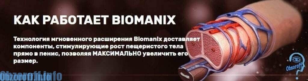 หลักการของการกระทำของแคปซูล Biomanix ต่อการเจริญเติบโตของอวัยวะเพศชาย