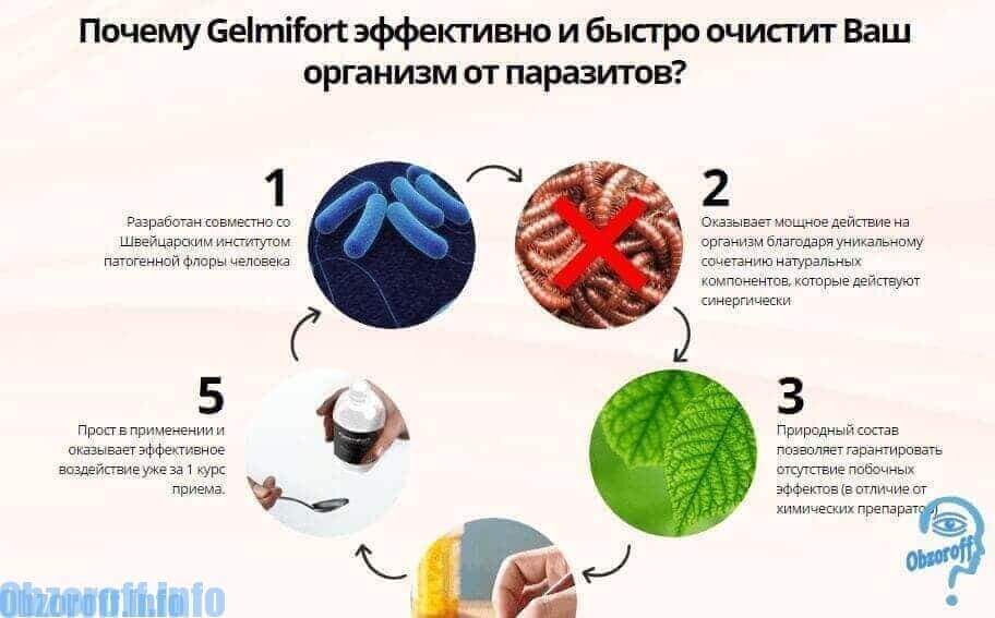Ιδιότητες του Helmifort για τον καθαρισμό του σώματος των παρασίτων
