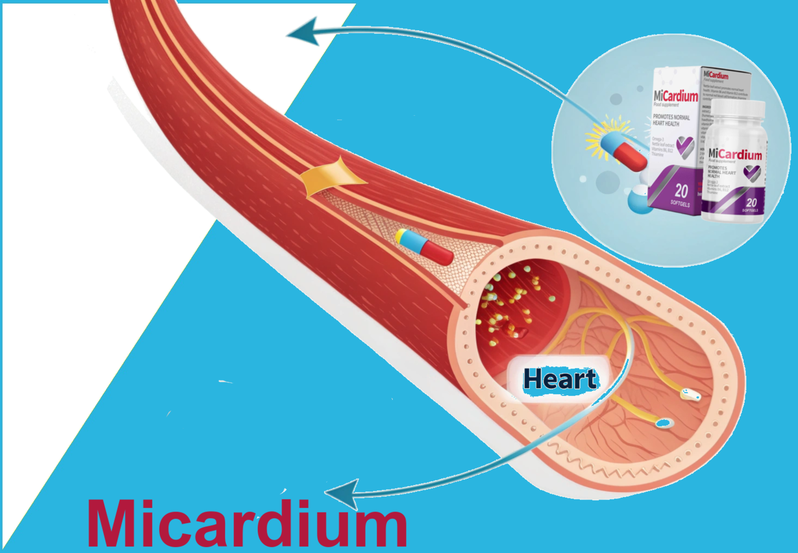 Как капсулы Micardium снижают артериальное давление и защищают органы-мишени