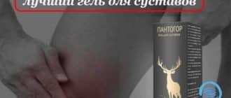 pantogor gel dlya sustavov - Crème Hondrostrong pour les joints: description, prix, composition, avis