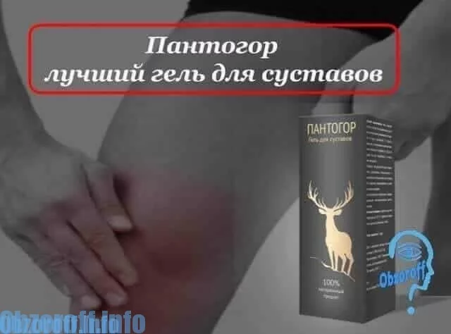 Pantogor gel for the treatment of joint diseases