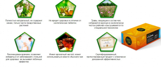 preimuschestva chaya gastro - Желудочный чай Gastro и методы лечения гастрита