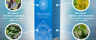 komposisi neyrolock - Neyrolock regenerator saraf untuk stres dan ketegangan saraf